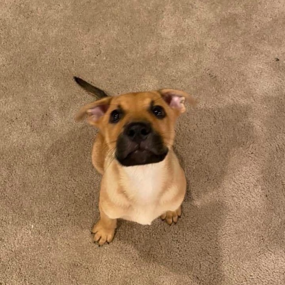 Meet your Posher, Katie - Picture 2 of 9